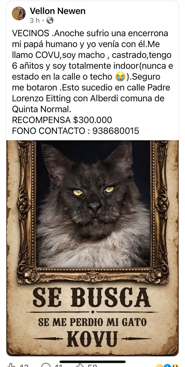 Elizabeth tweet media