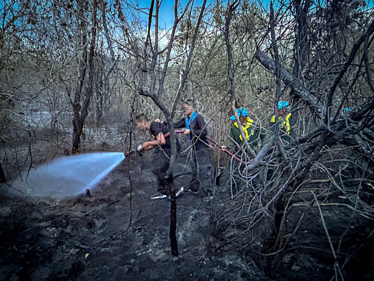 why_thahan's tweet image. กรมทหารราบที่ 152 นำกำลังพลจิตอาสา ร่วมปฏิบัติภารกิจกับหน่วย กองร้อยทหารพราน 4113 หน่วยเฉพาะกิจกรมทหารพรานที่ 41 พร้อมรถดับเพลิง เข้าควบคุมสถานการณ์ไฟป่าในพื้นที่รอยต่อระหว่างบ้านปรามะและบ้านหัวควน หมู่ที่ 6 ตำบลวังพญา อำเภอรามัน จังหวัดยะลา