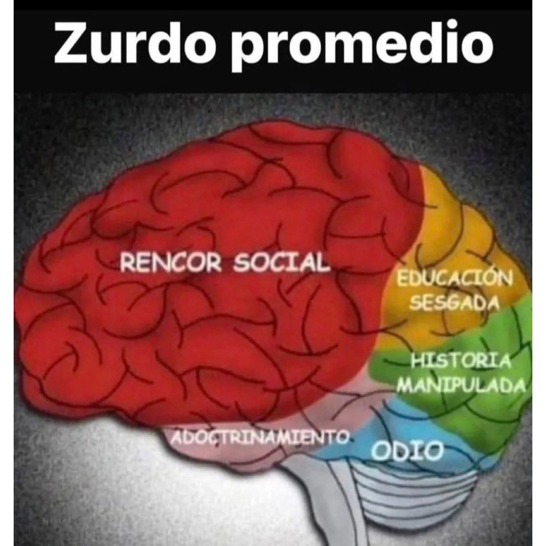 juanfloreschaar's tweet photo. https://t.co/7L2VeO1vaz