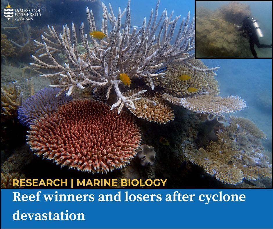 James Cook Uni tweet media