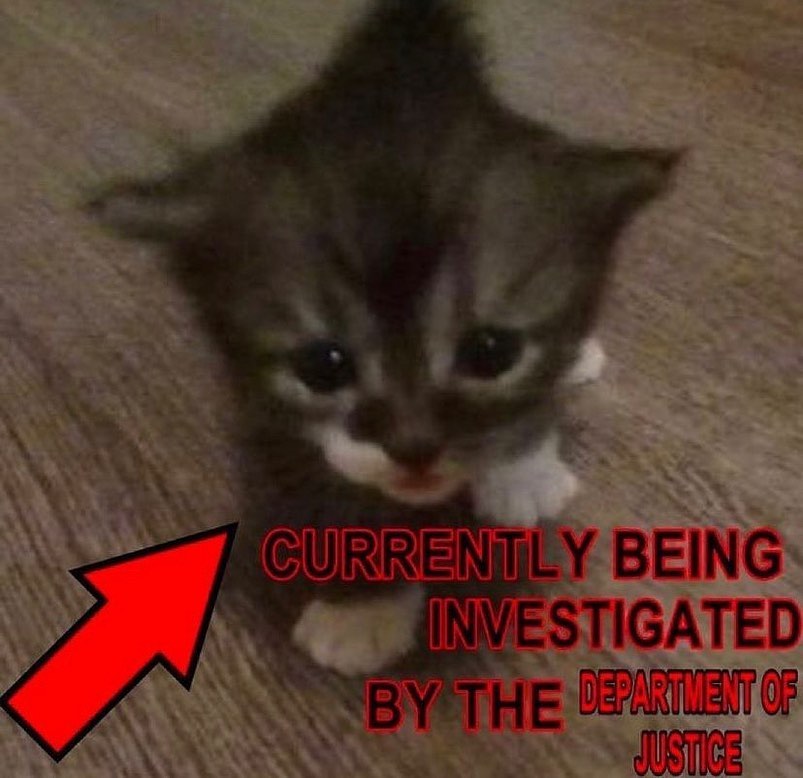 count fagula tweet media