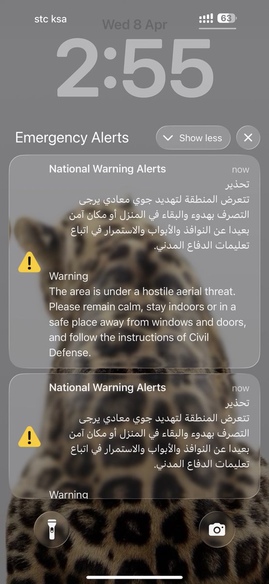 🕸️🕷️ tweet media