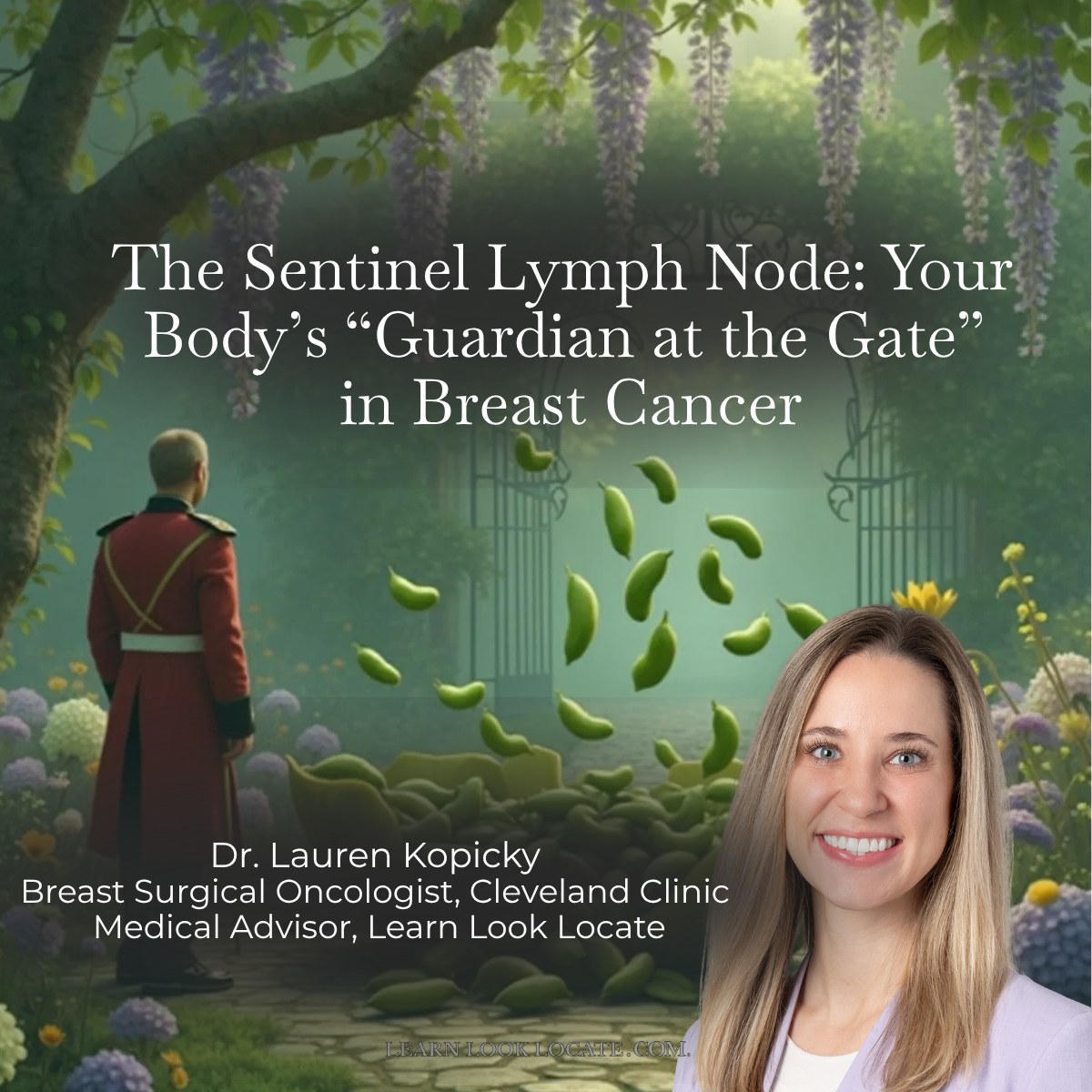 learnlooklocate tweet media