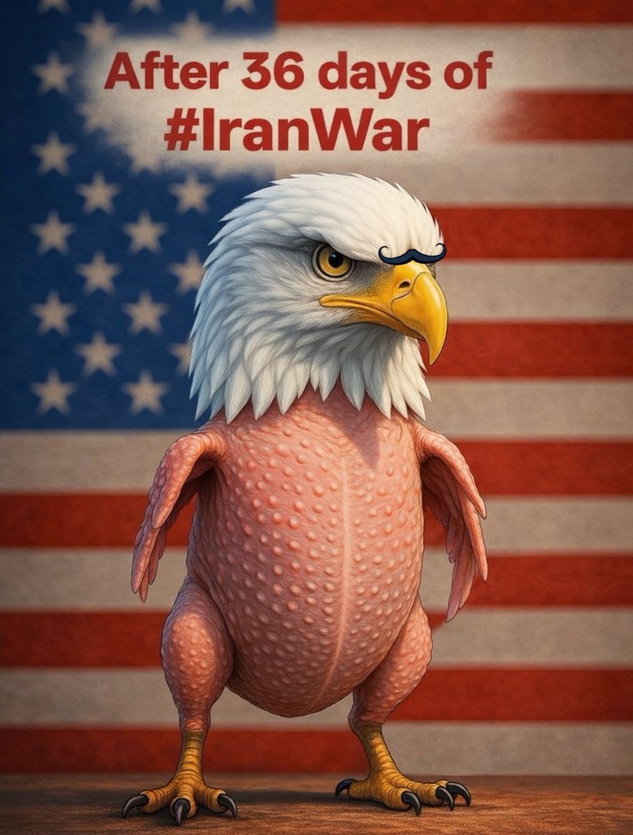 HINDUSTAN_PLUSE's tweet photo. @acnewsitics The Iranian regime is now calling Trump a chicken. https://t.co/5sD7PFHU8D