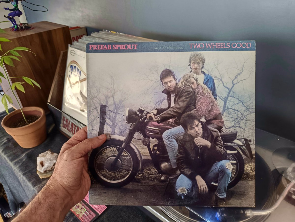 𝔟𝔞𝔩𝔪𝔬𝔯𝔦 tweet media