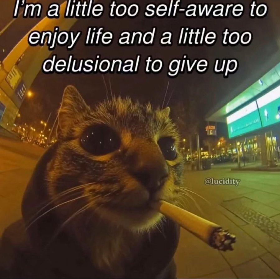 RedFrog 🫵🤡 tweet media