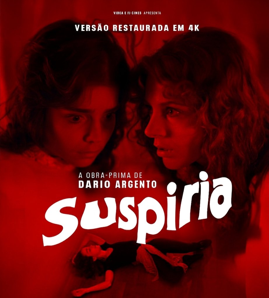 CINEMA 505 tweet media