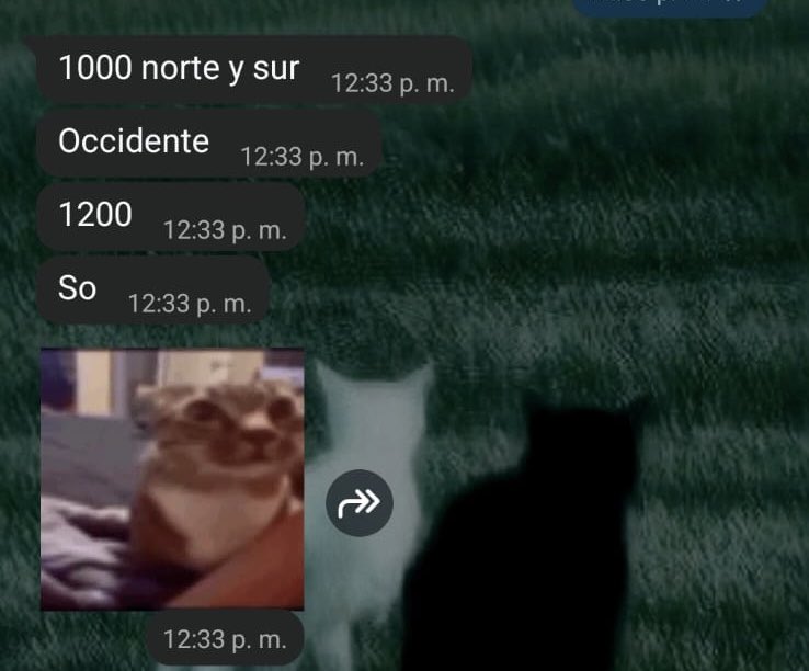 x i o⁷ VERÁ A BTS tweet media