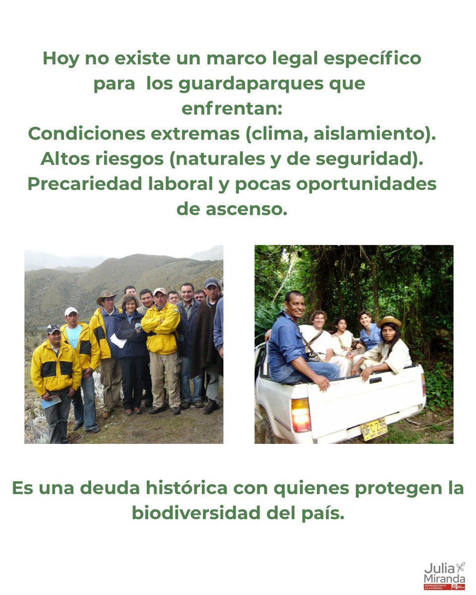 Julia Miranda Londoño tweet media