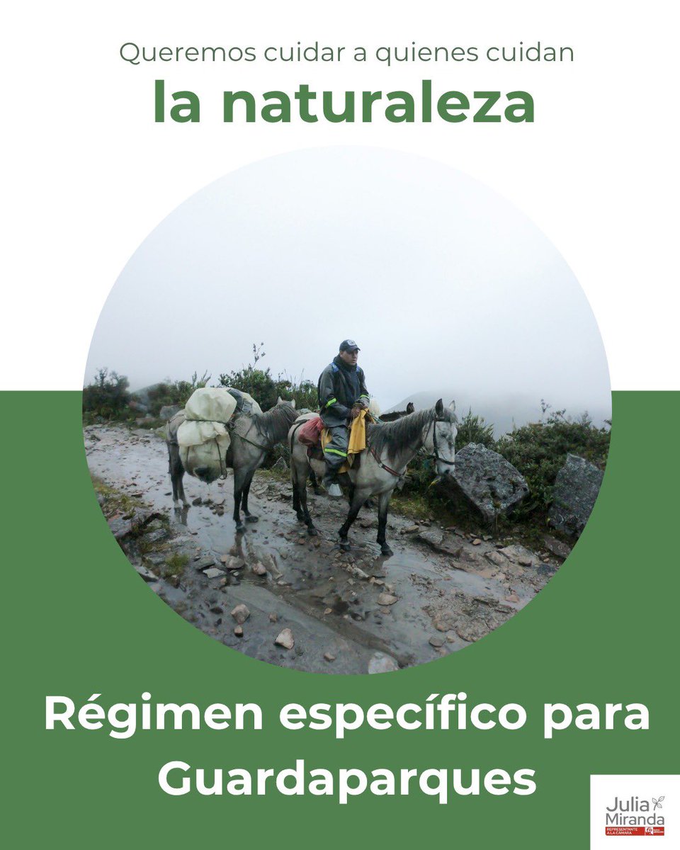 Julia Miranda Londoño tweet media