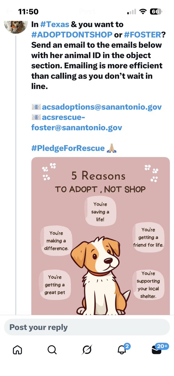 Marsha Coogan tweet media