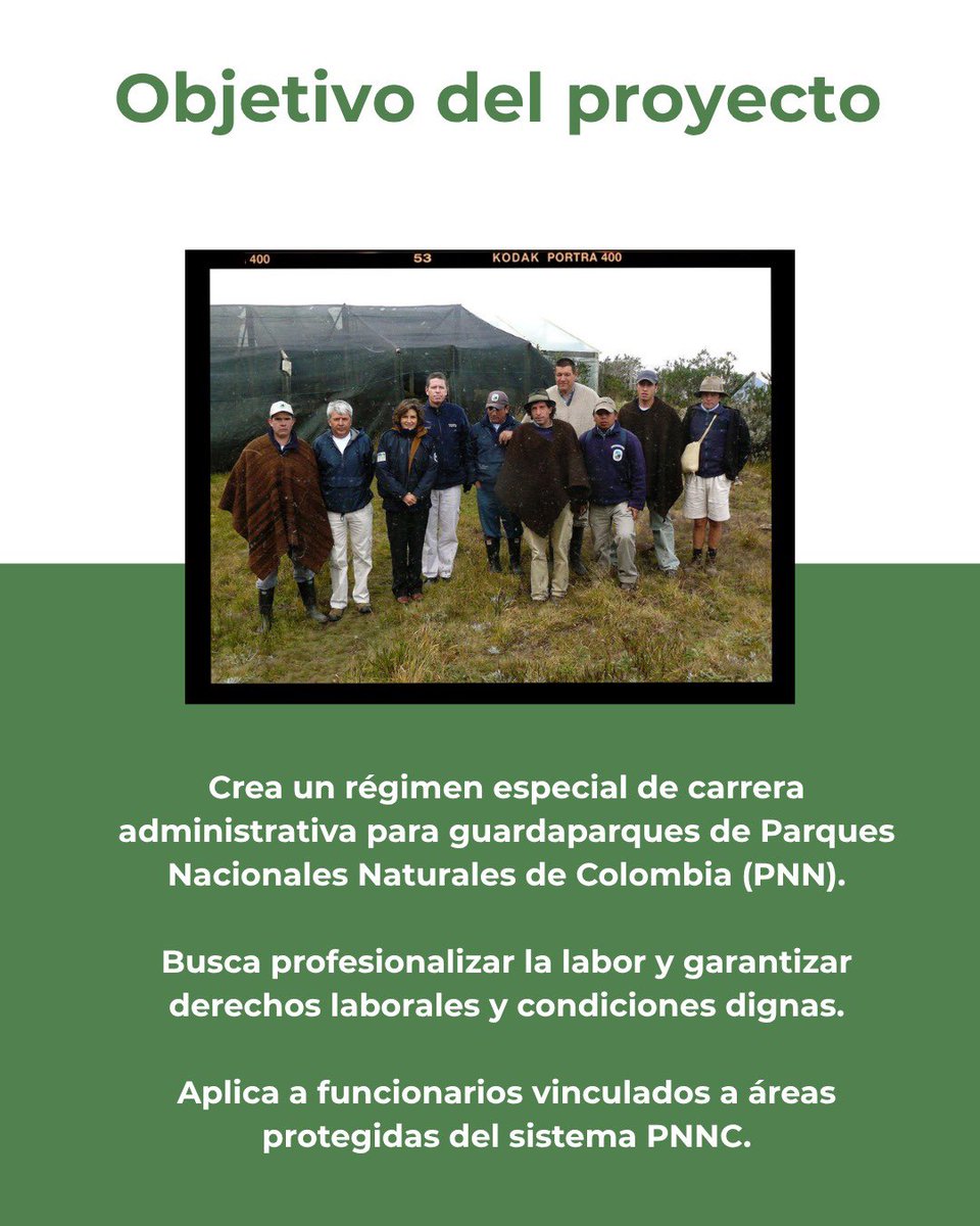 Julia Miranda Londoño tweet media