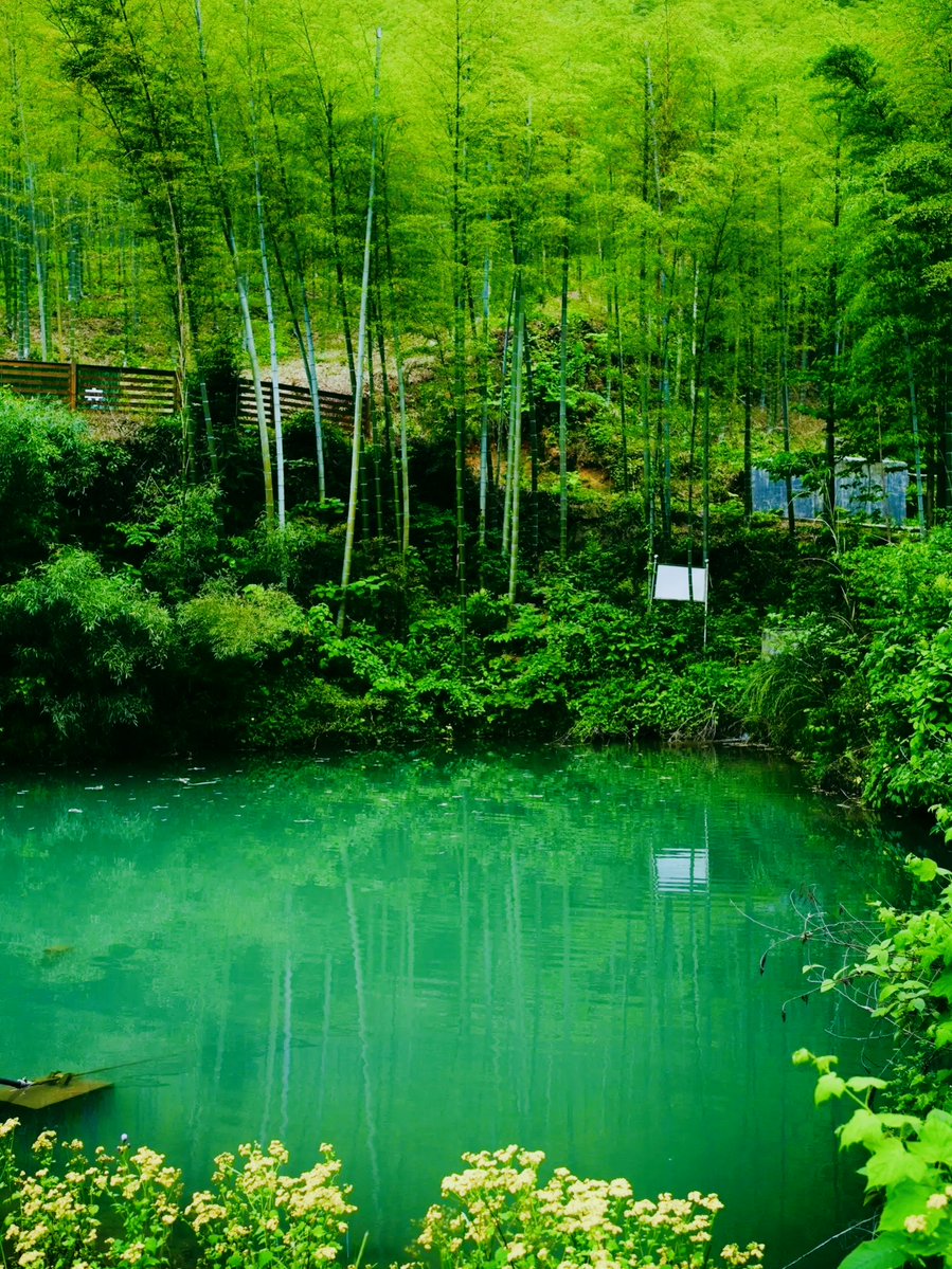 johnson kabiru tweet media