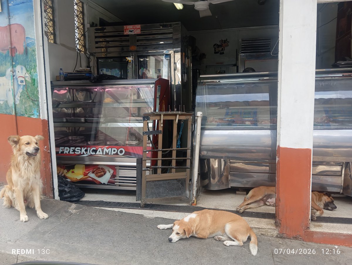 Juancho Sinisterra 🇨🇴 tweet media