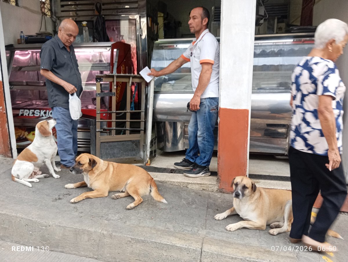 Juancho Sinisterra 🇨🇴 tweet media