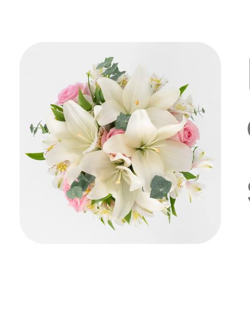 P' Mitch 🌬️🥀🐰🦦🇲🇽 tweet media