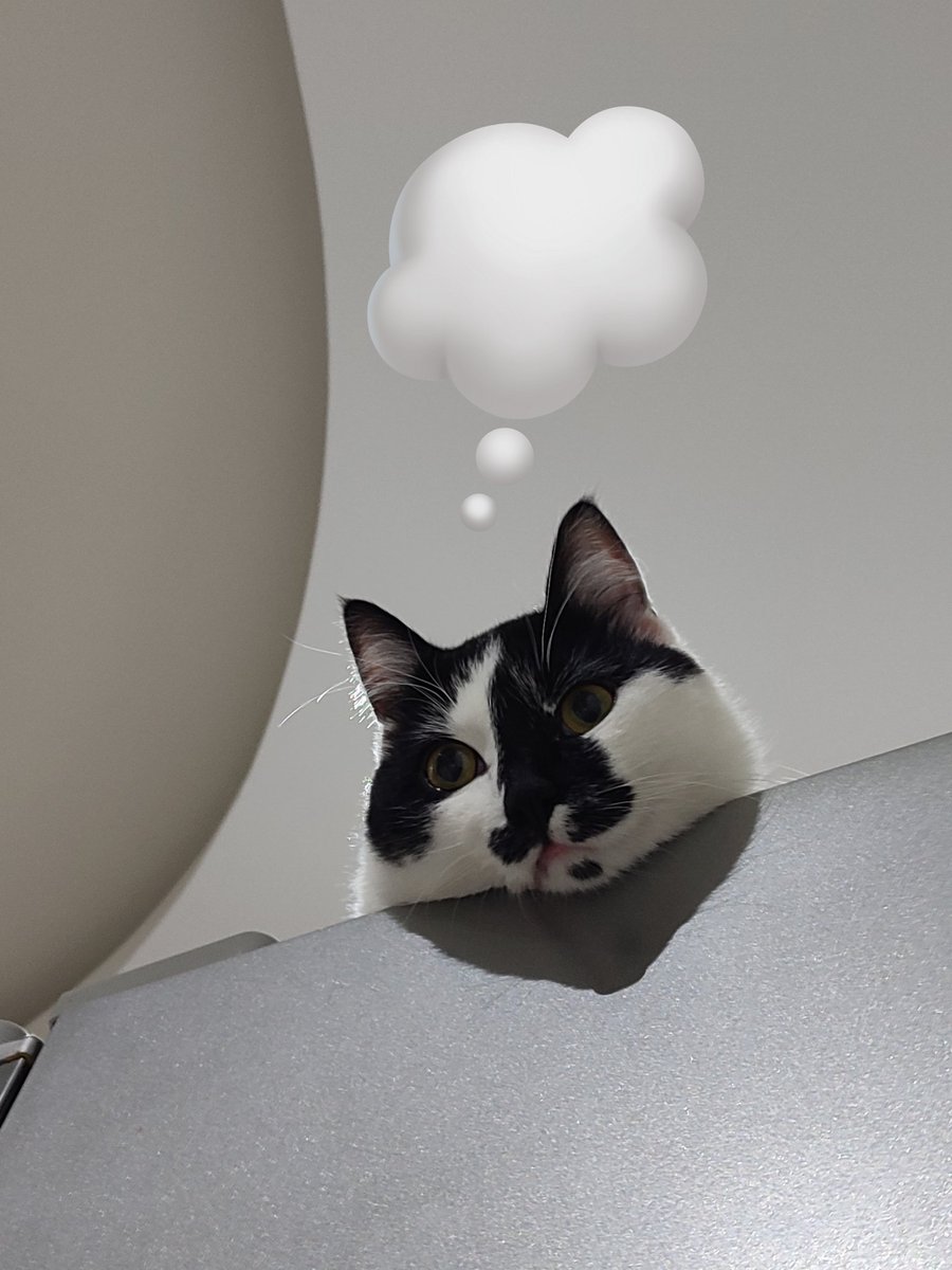 evren bozması tweet media