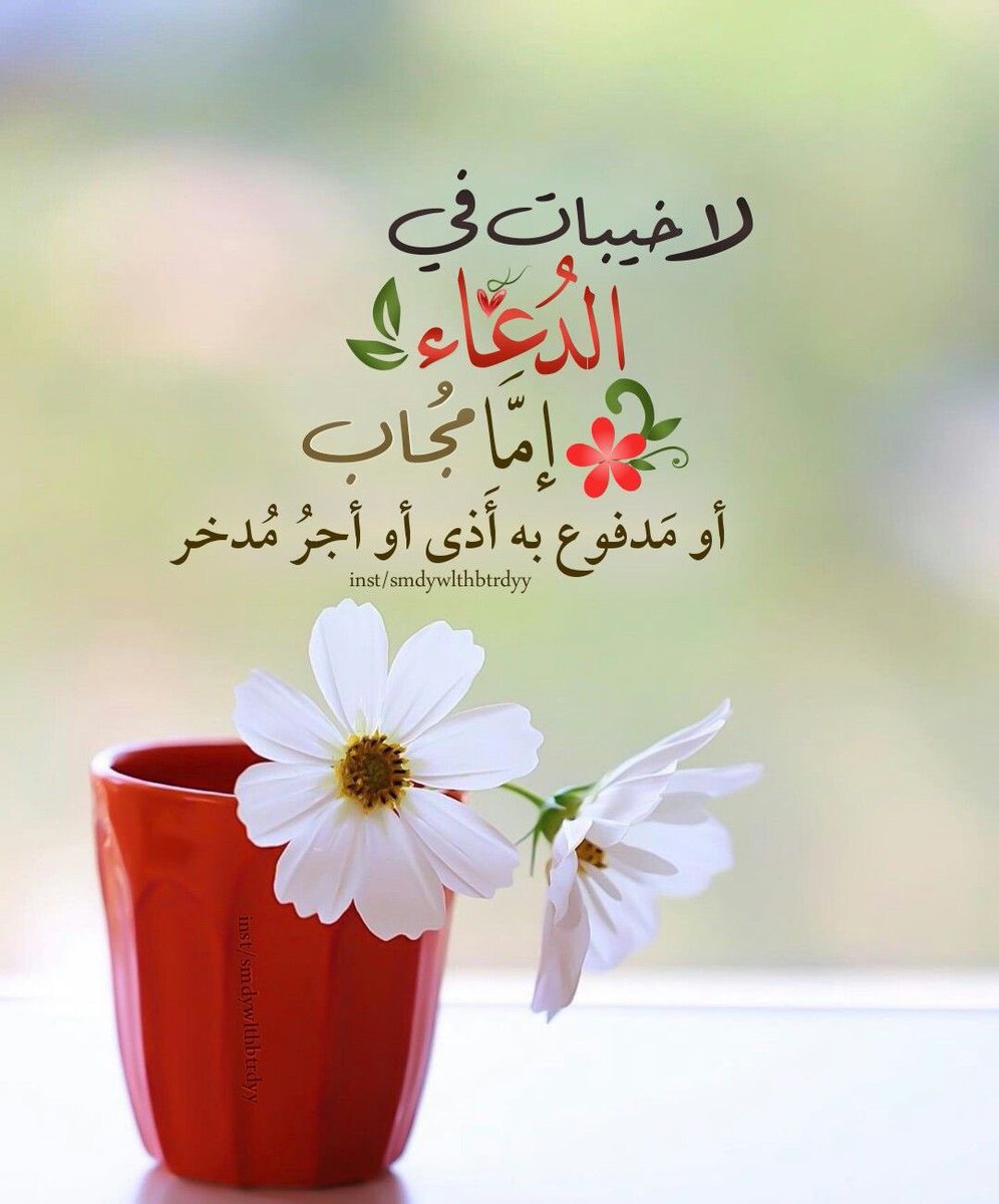 islamiat__'s tweet photo. ~
وقتٌ مُجاب، وربٌّ وهَّاب 🤍

#الوتر #الوتر_جنة_القلوب #دعاء https://t.co/vMgpb9bBpU