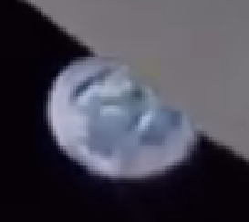 Lolwutboyo tweet media