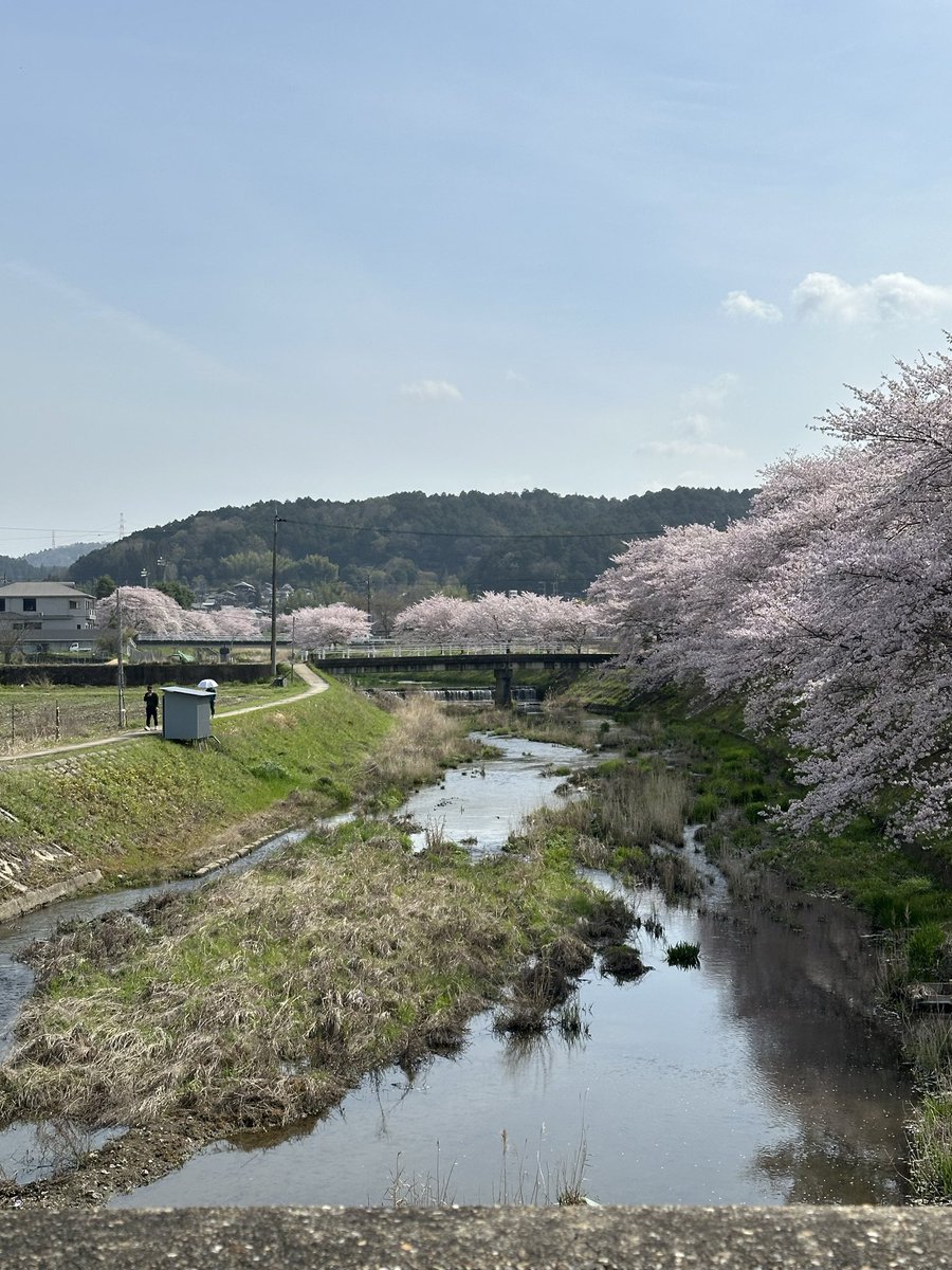 takumi.ใใผใใ tweet media