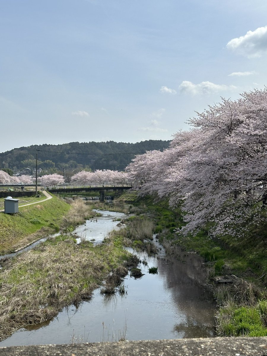 takumi.ใใผใใ tweet media