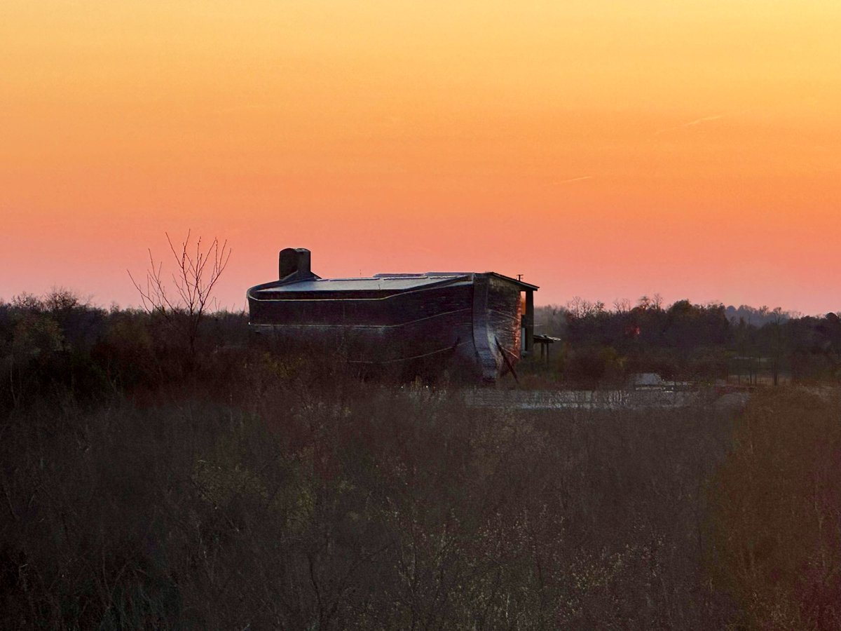 Megan Basham tweet media