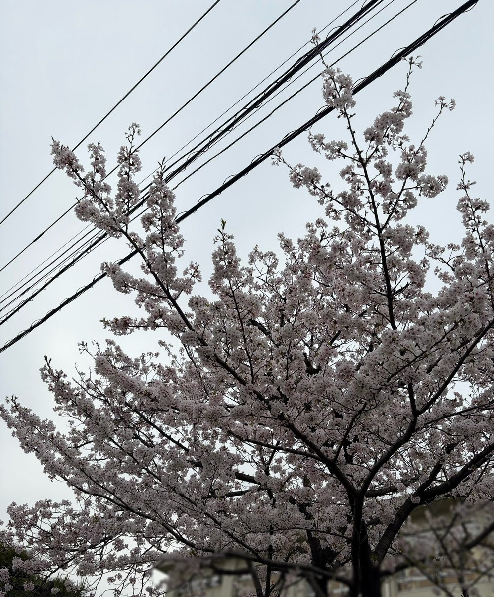 kotty ·͜· tweet media