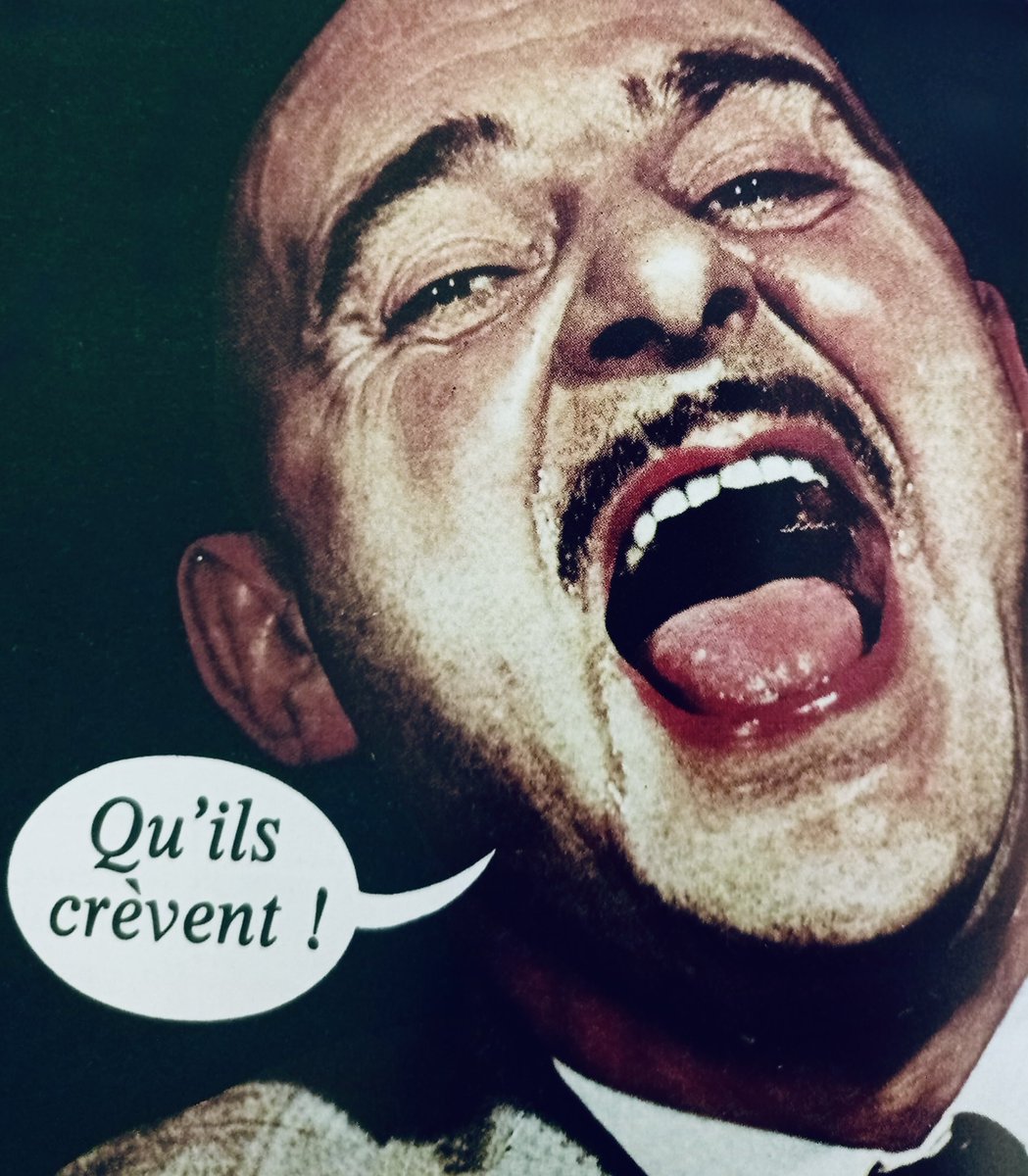 Stan Horowitz 👊🏻🇫🇷🖕🏻🇮🇱🤬🇺🇸🪖 tweet media