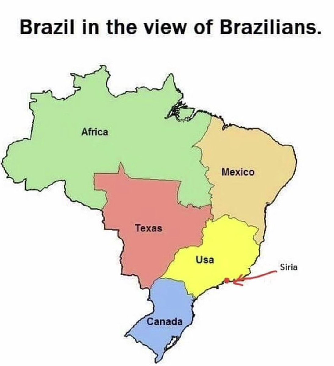 Rothmus 🏴 tweet media