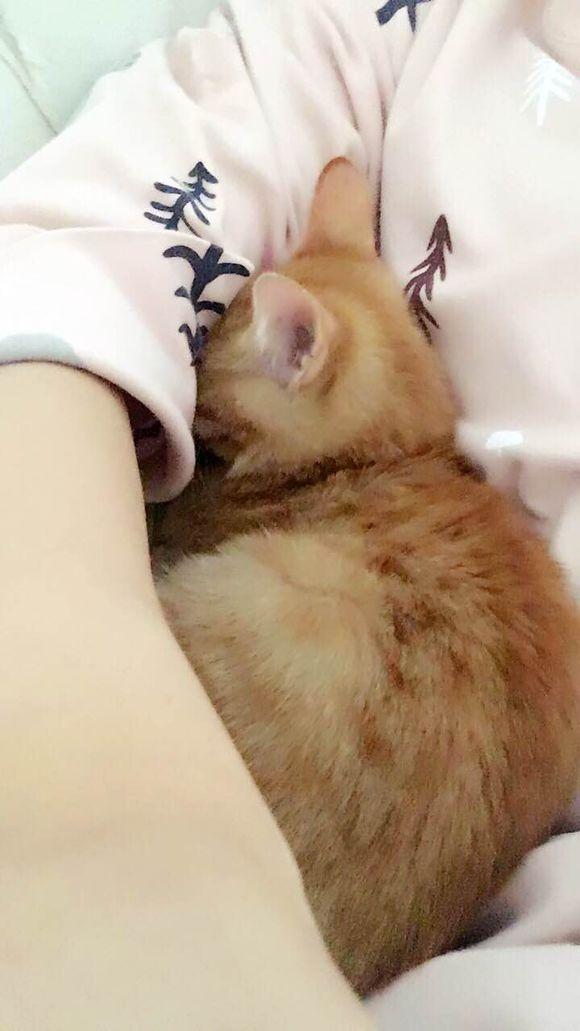 Danny Johnnidis tweet media