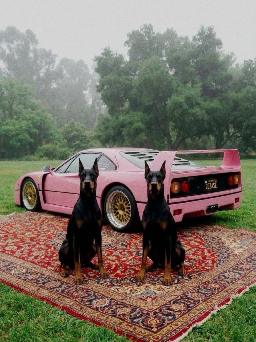 🪬Robbie Rich🏴☠️ tweet media