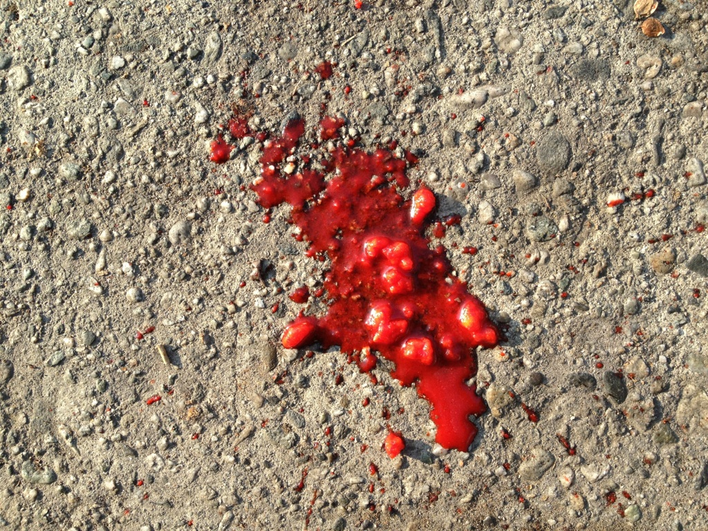 Mr. Babber tweet media