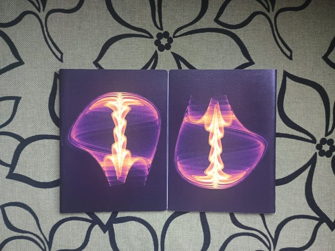 aritmoskinesios's tweet photo. Caos matemático + arte abstracto = regalo único...¡Últimas 3 libretas hechas a mano!  80 pág. a rayas, 14 x 19 cm. $160 pesos + costo de envío🤓 #chaos #abstractart  #creativecoding https://t.co/WjBweA2wOf