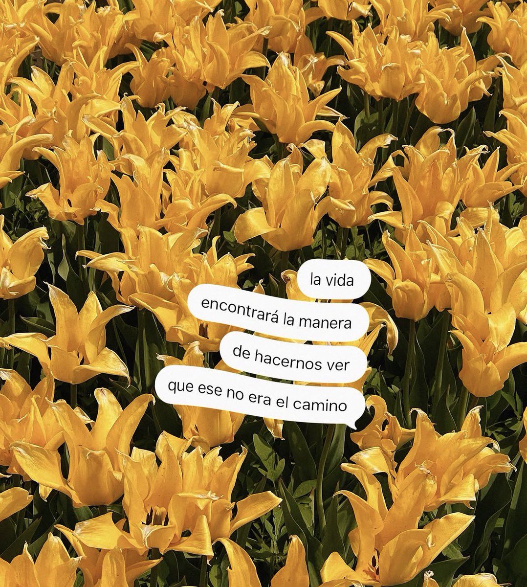 💛