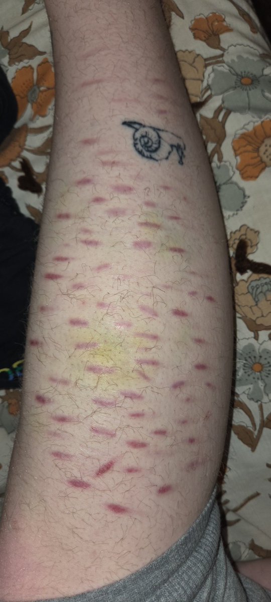 ☆𝔢𝔩𝔩𝔦𝔬𝔱☆ tweet media