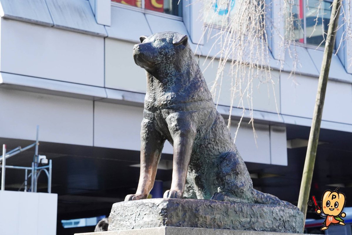 おはようございます😊 東京は晴れ☀️ 今日は忠犬ハチ公の日🐕✨ 「忠