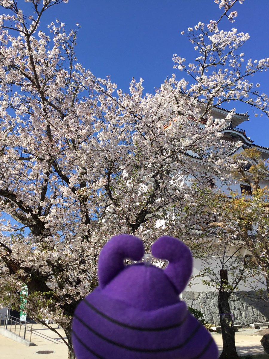 唐津城【公式】 tweet media