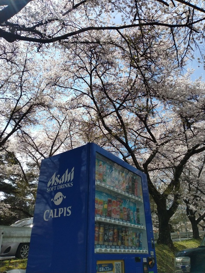 【公式】ハッピードリンクショップ の 株式会社フローレン tweet media