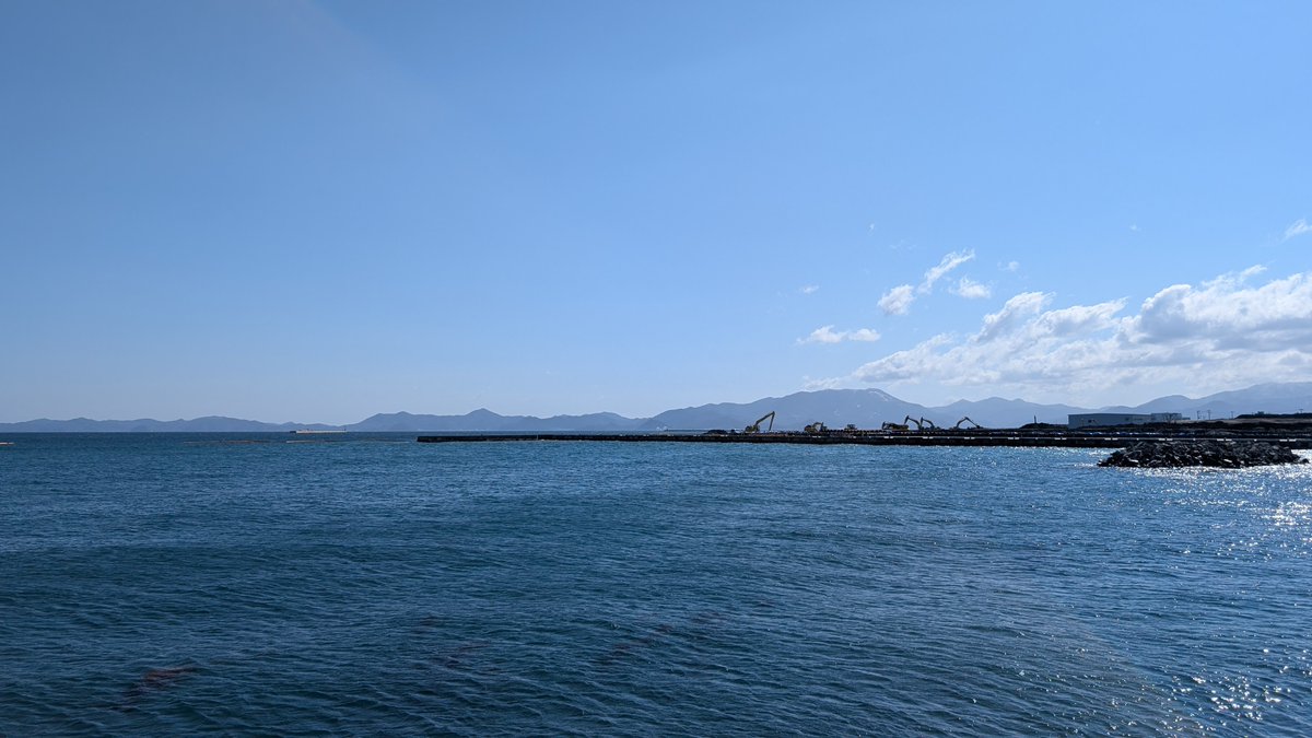 りんごちゃん🍎 tweet media