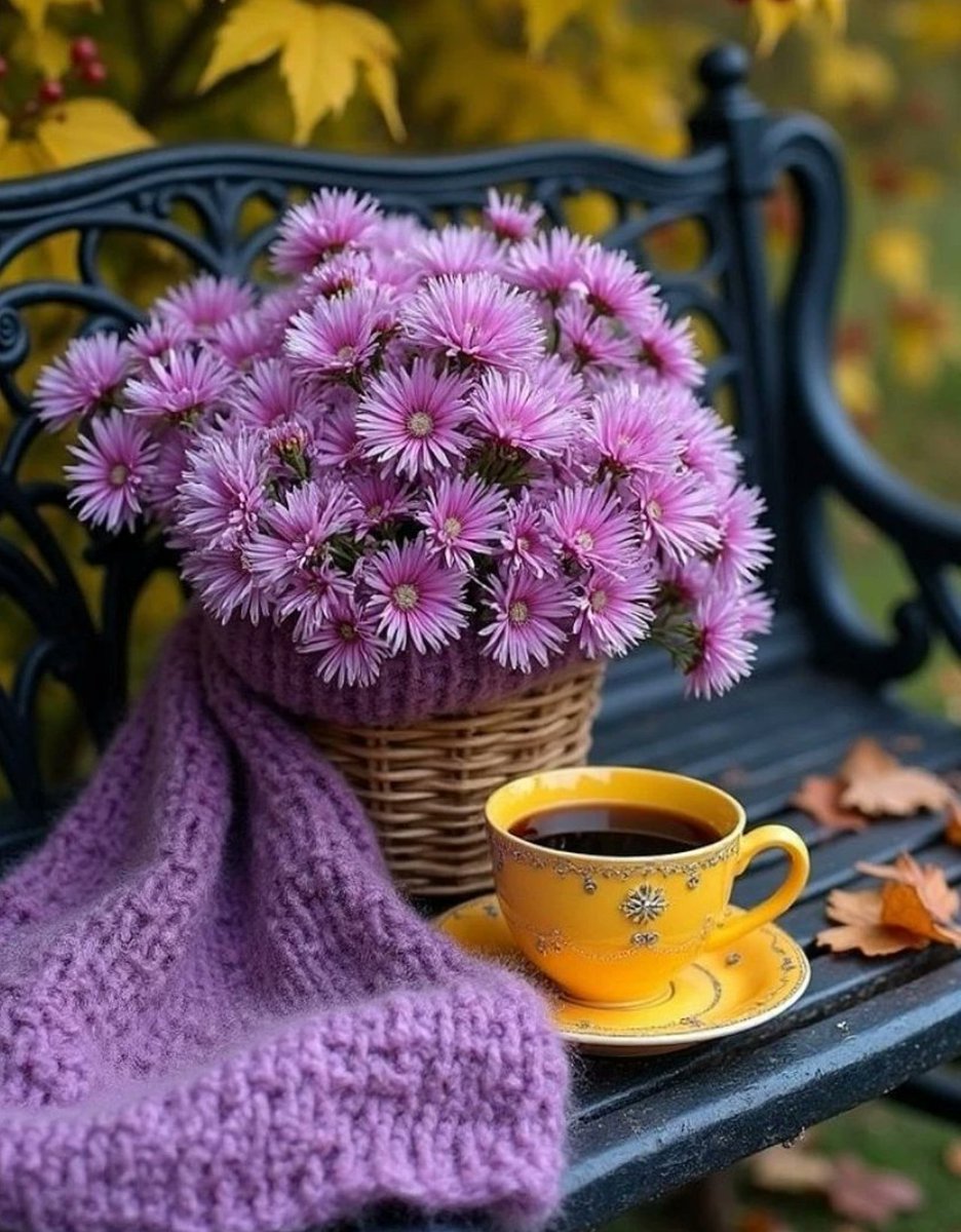 khursheed tweet media