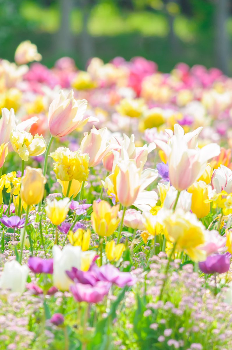 あひゃ、かずき tweet media