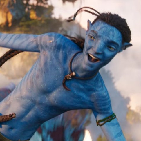 ni 🇧🇷 🇵🇸 .。.:* off for studies tweet media