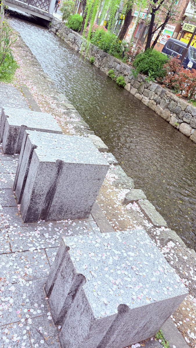 菜々🥀 tweet media