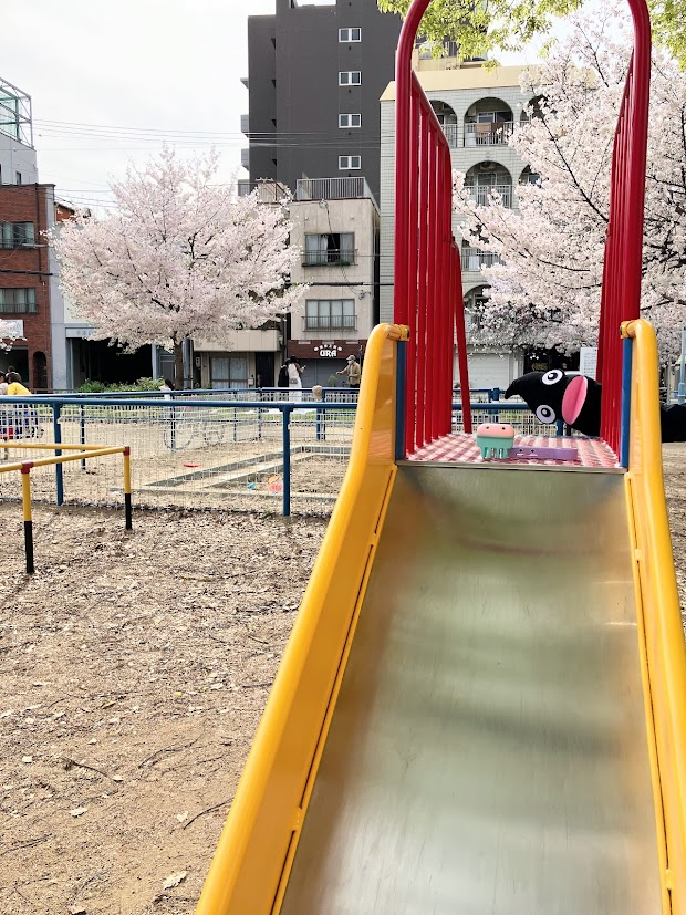 おはようございます。

ヘアモンの後ろにボーボーが映りこんでしまっていますが
今日もフェザーファミリーは元気です。

大阪はぽかぽか陽気。
今日もよろしくお願いします🌸