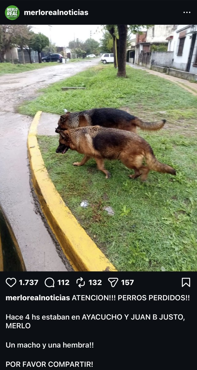 MariCuri 56% 🦁🦆💜🩵Nueva Argentina tweet media