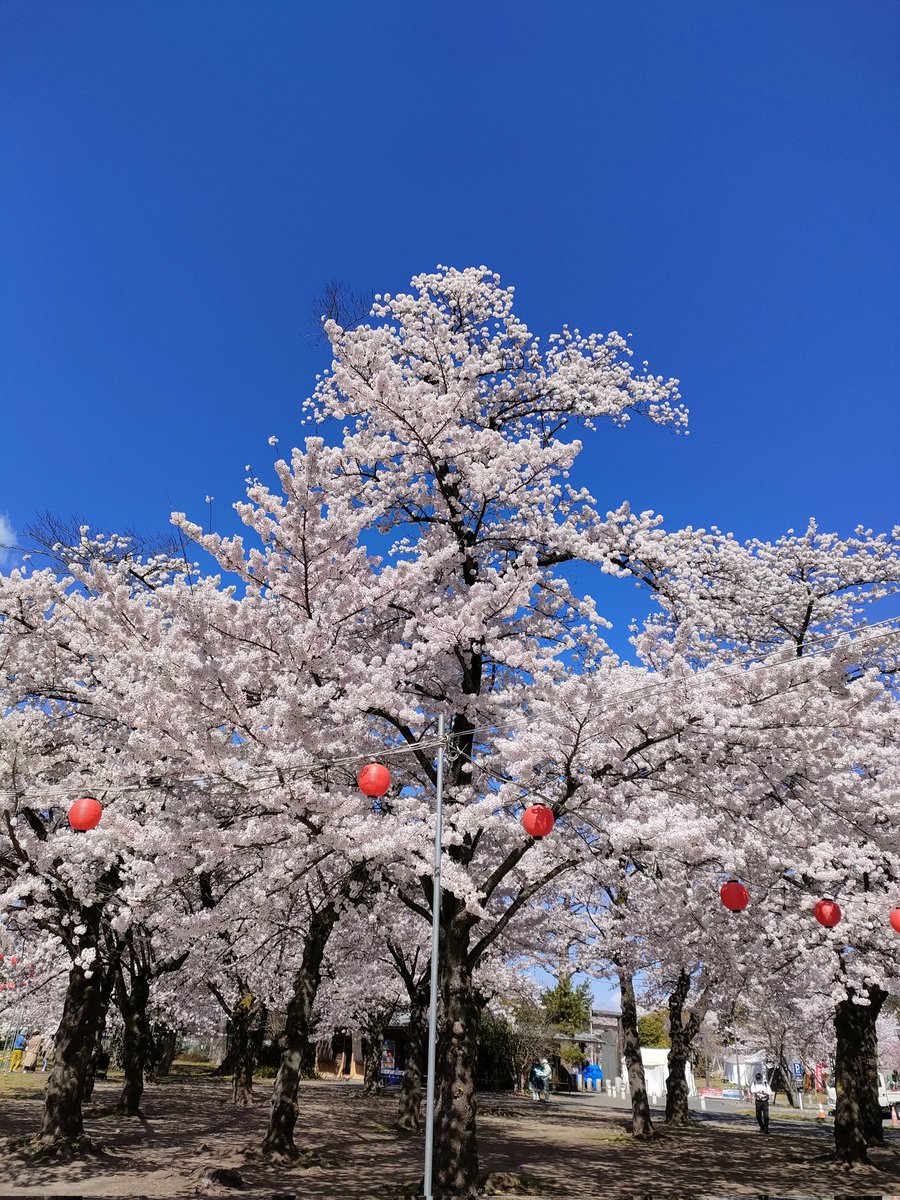 みなみ4 tweet media