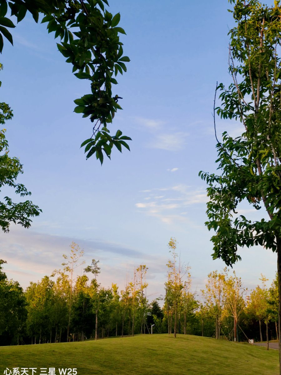 Zachary Guilbart tweet media