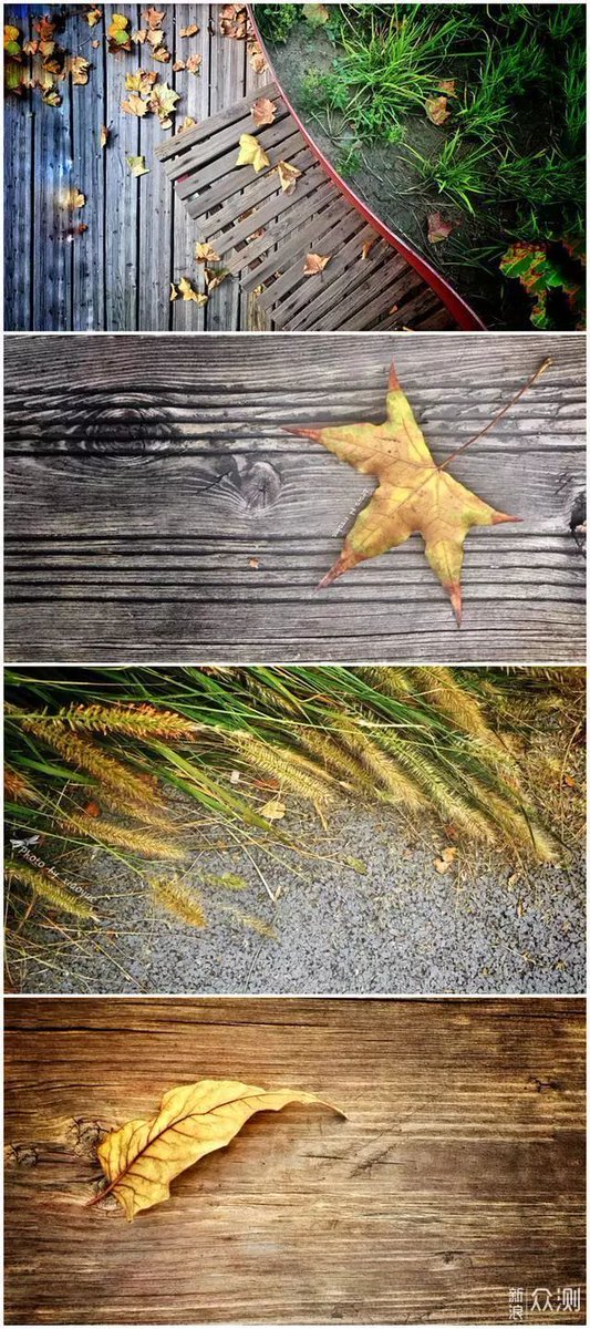 leechfly tweet media