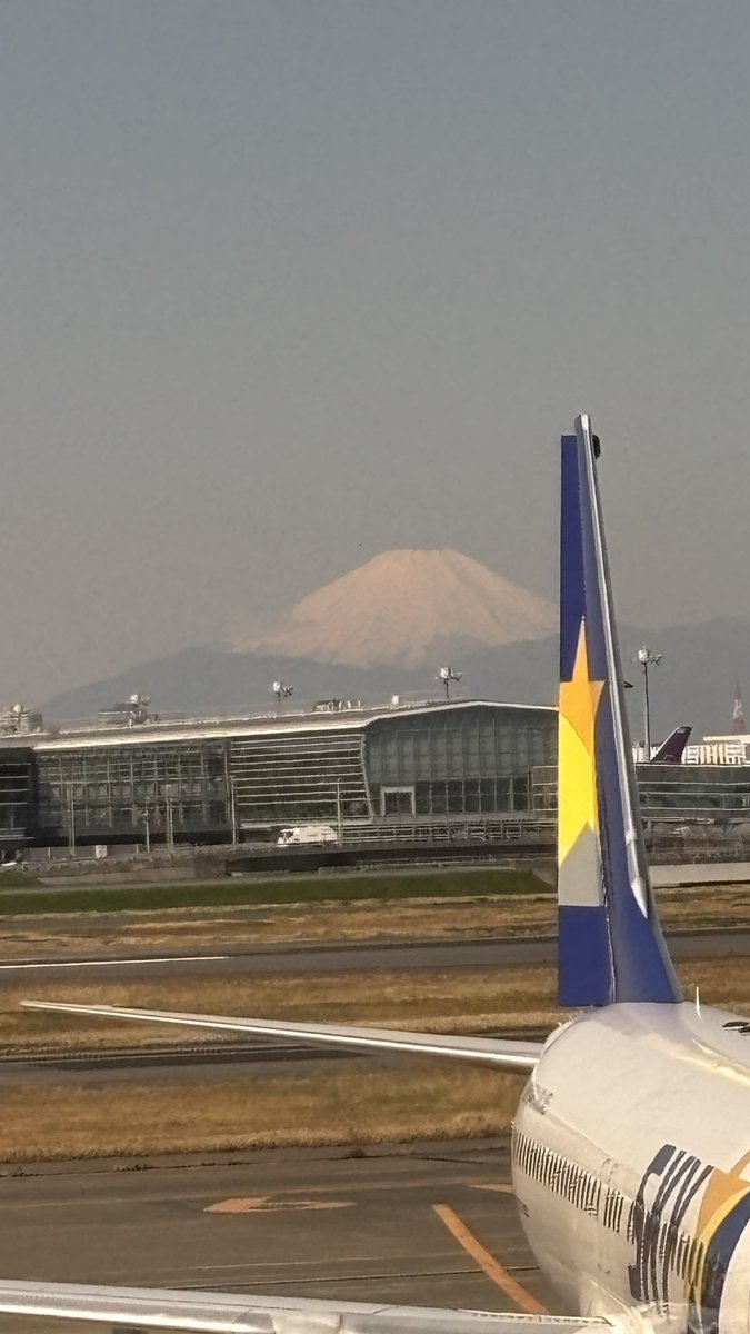 ちあき ぱいせん tweet media