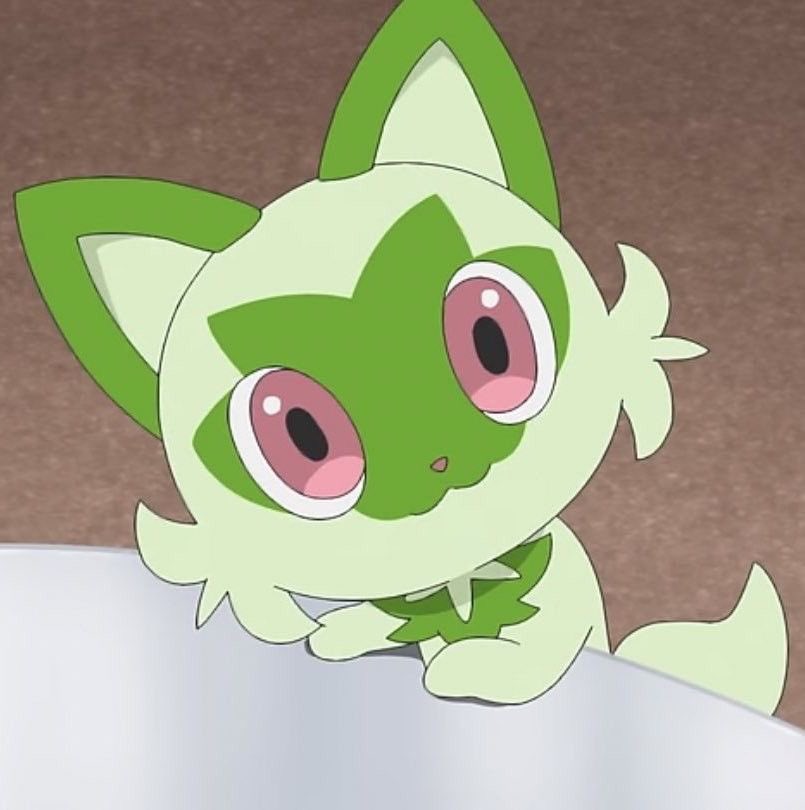 luca ! pkmn era tweet media